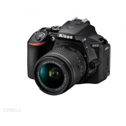 Nikon Aparat D5600 + Obiektyw AF-P 18-55VR